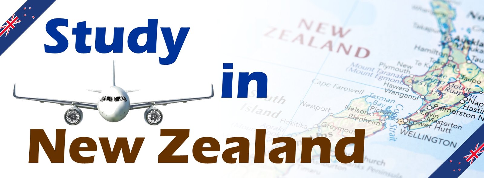 study in new zealand